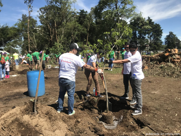 Volunteers planted 75 trees in La Sabana - American Expatriate Costa Rica